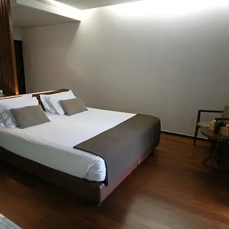 Douro Scala Hotell Mesão Frio