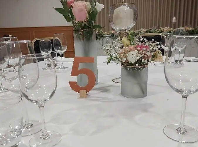 酒店 Douro Scala 梅骚·弗里奥