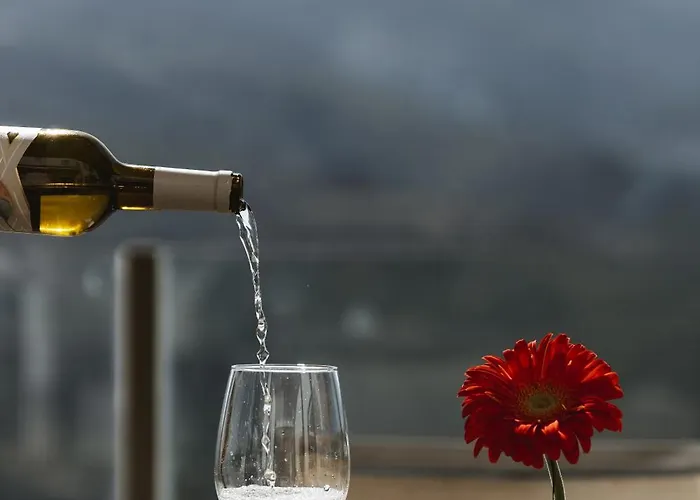 Douro Scala מלון