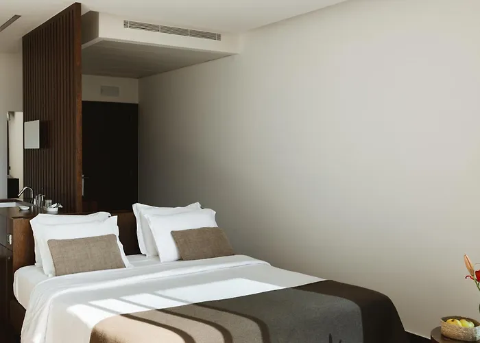 Douro Scala 酒店 梅骚·弗里奥