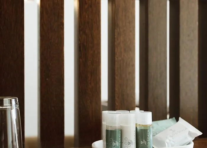 Douro Scala 酒店 5*